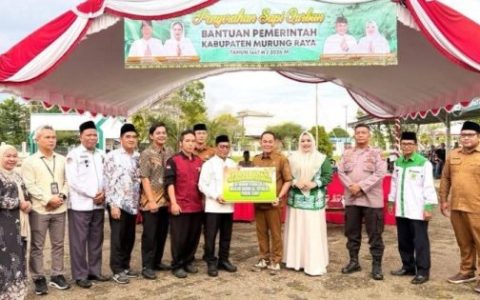 Jelang Iduladha 1447 H, Pemkab Murung Raya Salurkan 111 Ekor Sapi Kurban