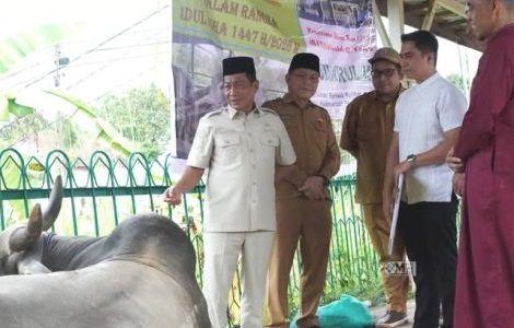 Bupati Murung Raya Serahkan Bantuan Sapi Kurban, Satu Ekor Bantuan Dari Presiden RI