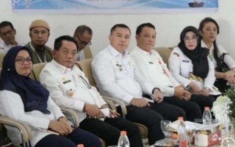 Stranas PK Kawal Digitalisasi Layanan Kesehatan Kapuas