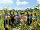 Panen Raya Jagung 34 Ton, Bukti Dukungan Polri untuk Ketahanan Pangan
