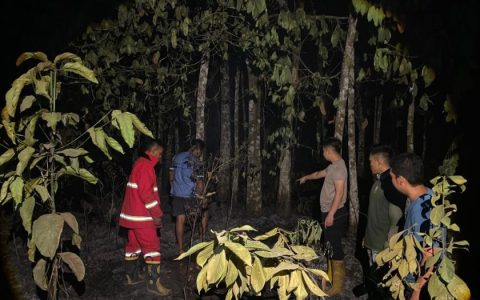 Empat Hektare Lahan Terbakar, Tim Gabungan Cegah Api Meluas