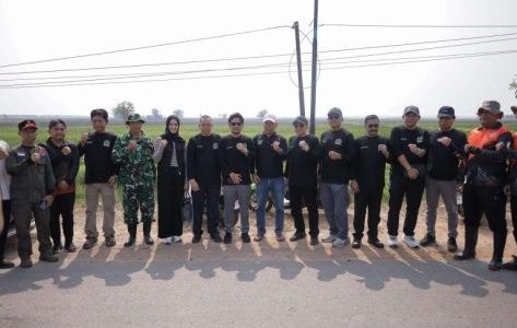 Dari Rawa Kering Mencari Jalan Keluar Karhutla Tahunan